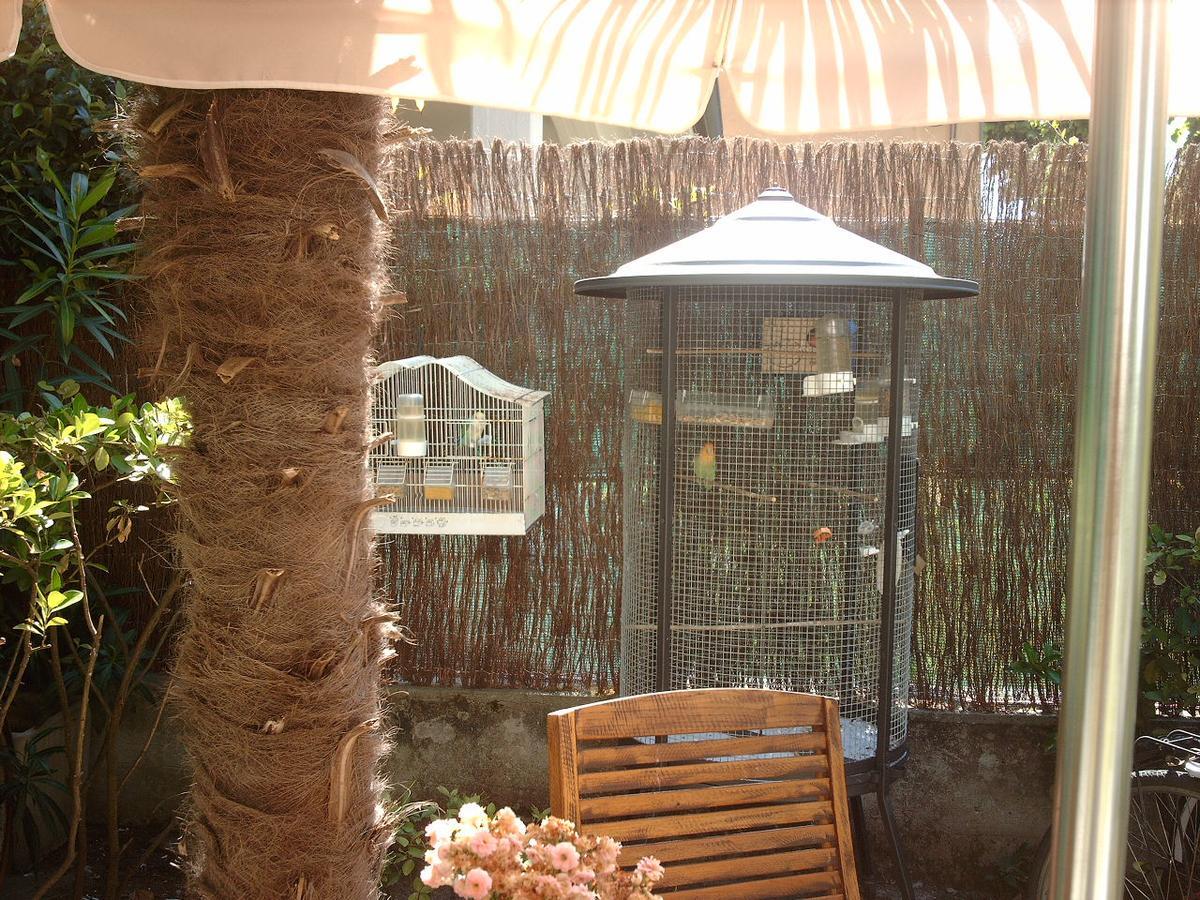 Le Villi Friendly B&B Torre del Lago Puccini Buitenkant foto